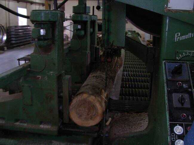 Primultini Log Band Saw - second-hand SF 1200 (3)