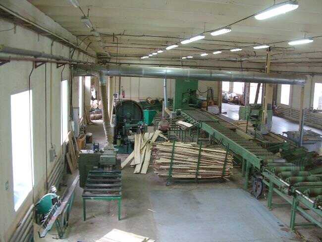 Primultini Log Band Saw - second-hand SF 1200 (5)