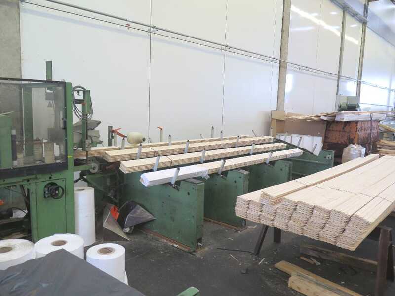 Fischer Packing Line / Shrinking Line for Profile Strips - second-hand SFV/80-N (11)