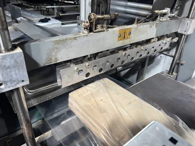 Hugo Beck Упаковочная машина для термоусадочной пленки - б/у Flexo 500 S + HV 601 (10)